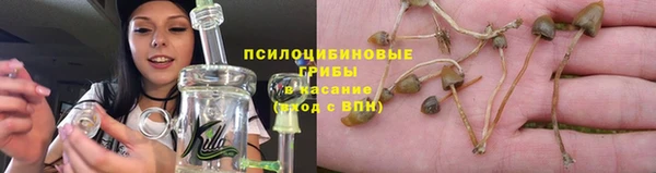 прущая мука Бугульма