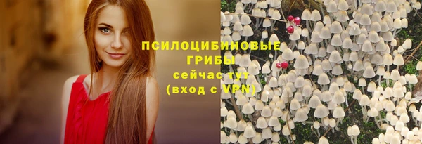 прущая мука Бугульма