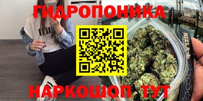 PSILOCYBIN Янаул