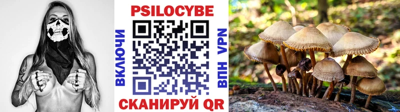 Галлюциногенные грибы Cubensis  Мончегорск 