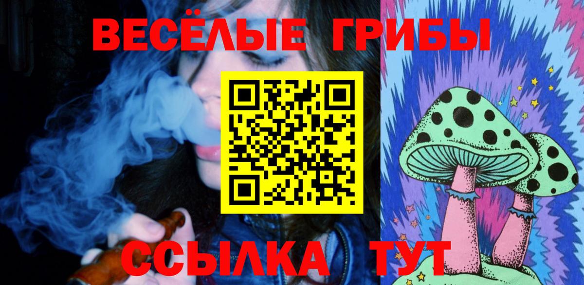 Галлюциногенные грибы ЛСД Мончегорск
