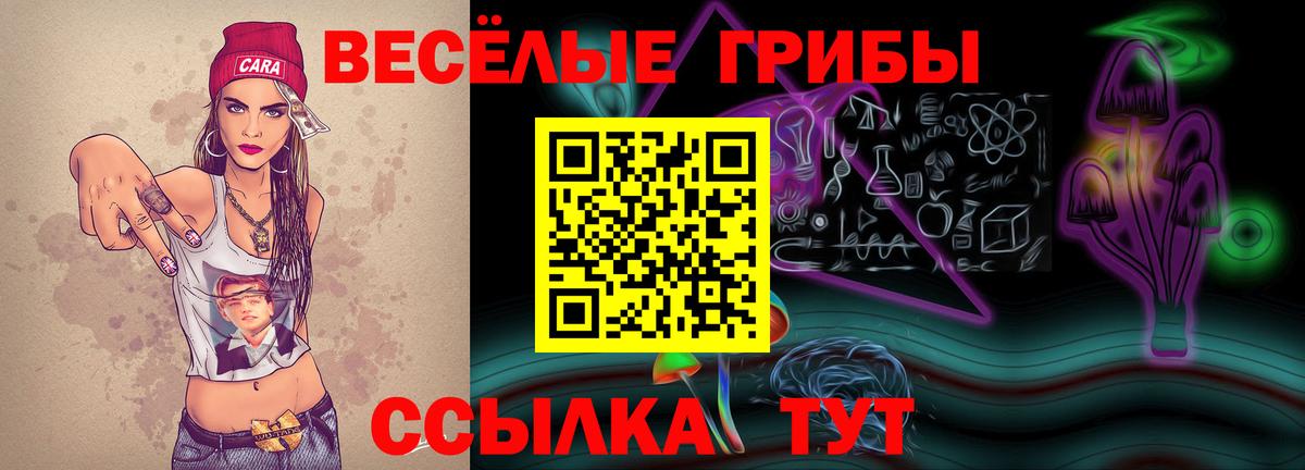 Мончегорск  Галлюциногенные грибы мицелий  Вход с VPN 